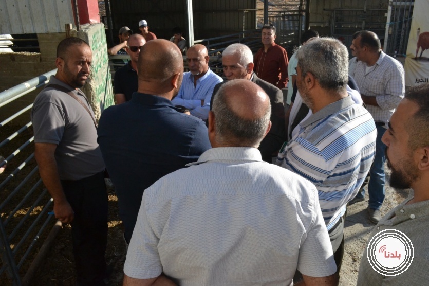ملتمين عل الخير تفتتح مشروع اضاحي الخير​​​​​​​