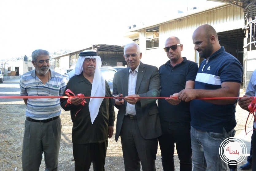 ملتمين عل الخير تفتتح مشروع اضاحي الخير​​​​​​​