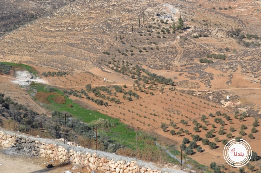  ائتلاف المؤسسات الأهلية الزراعية ينظم جولة صحفية في محافظة الخليل