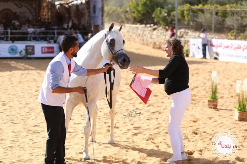 بطولة خليل الرحمن الثامنة لجمال الخيول العربية الاصيلة