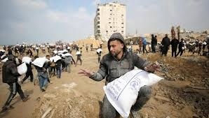 خاص لشبكة بلدنا الاعلامية _ إبراهيم أبو مرسة يوكّد  ارتفاع عدد الشهداء أثناء توجه  لأخذ الطحين في غزة .