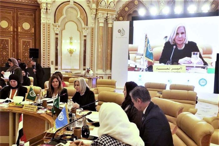 "الاجتماع الإقليمي التحضيري للجنة وضع المرأة" يعرب عن قلقه جراء ممارسات الاحتلال بحق نساء فلسطين