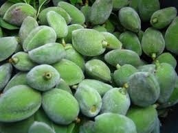 لوز اخضر