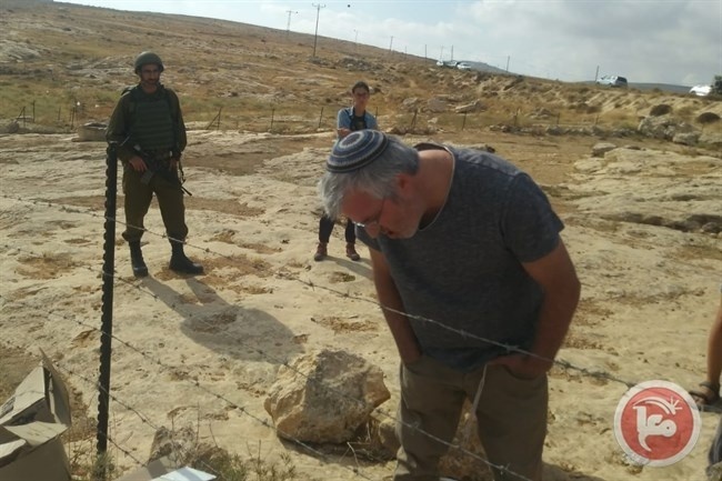 ارشيفية