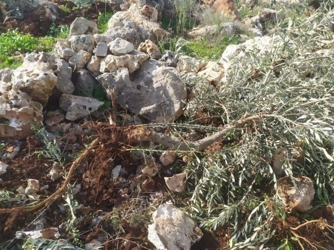 صورة تعبيرية