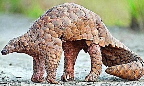 صورة تعبيرية
