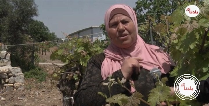 صورة توضيحية