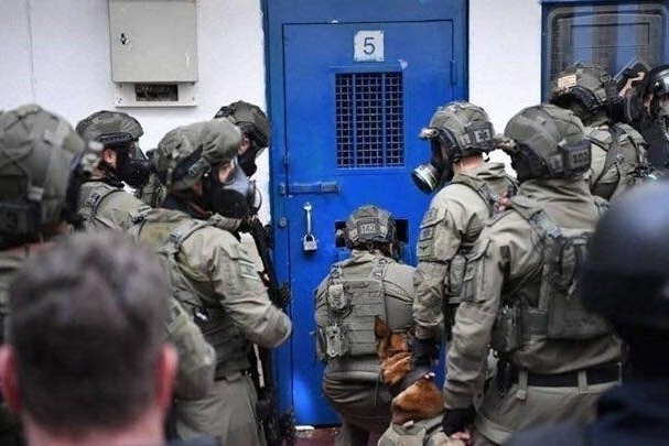 توضيحية