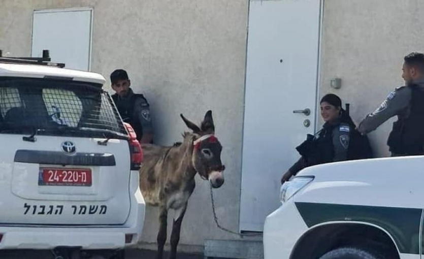 توضيحية
