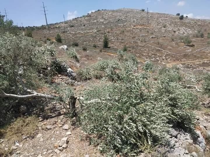 تعبيرية