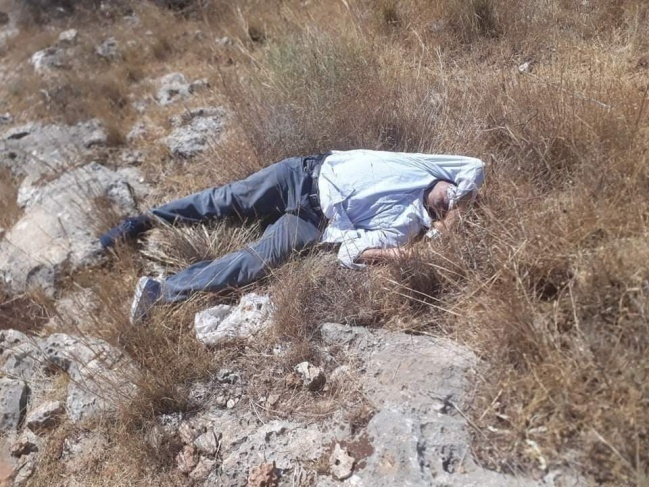 توضيحية