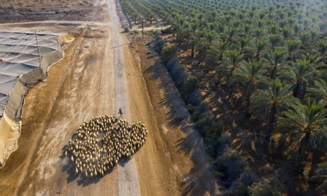 تعبيرية