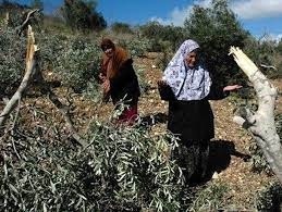 تعبيرية