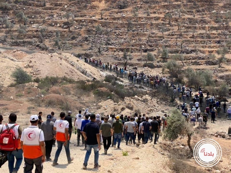 توضيحية