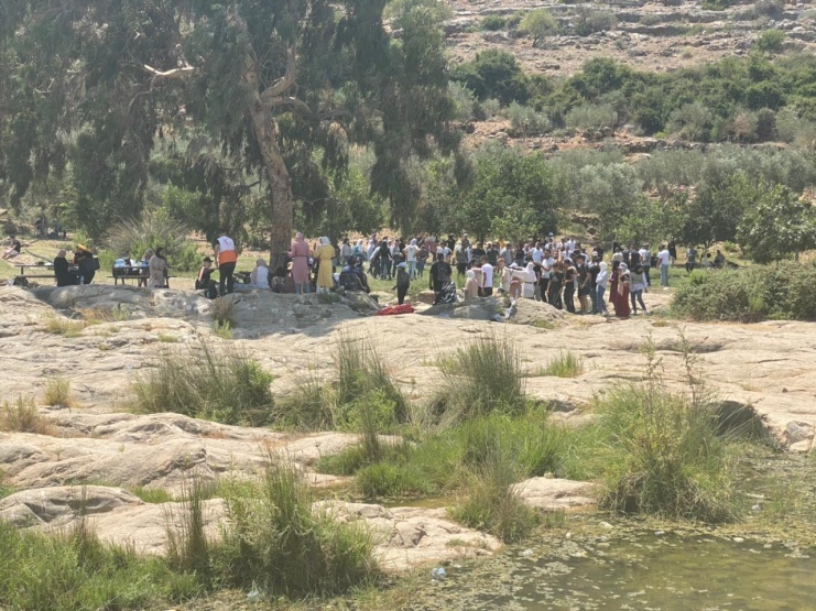 توضيحية