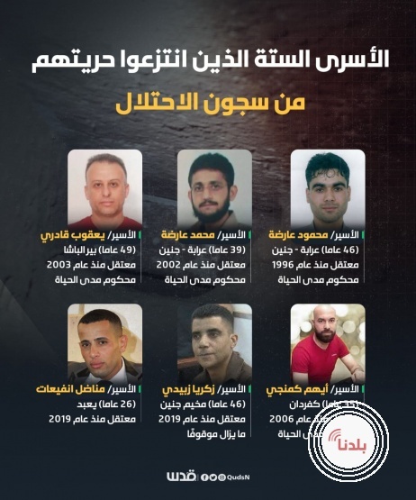 توضيحية