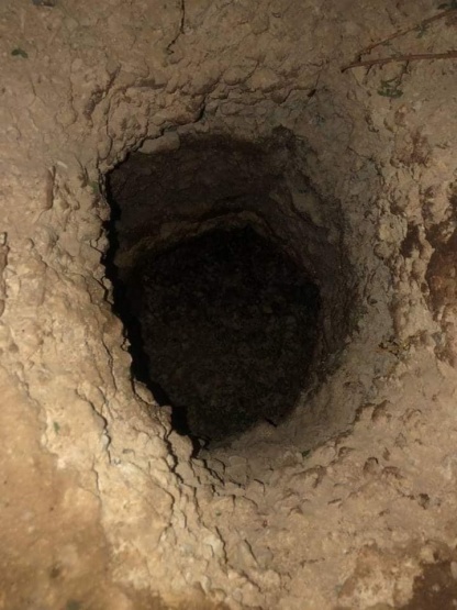 توضيحية