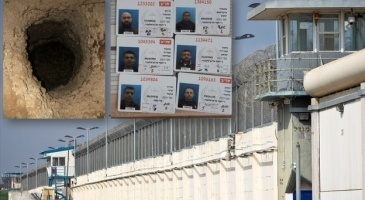 توضيحية