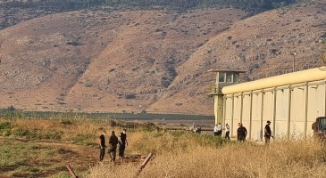 تعبيرية