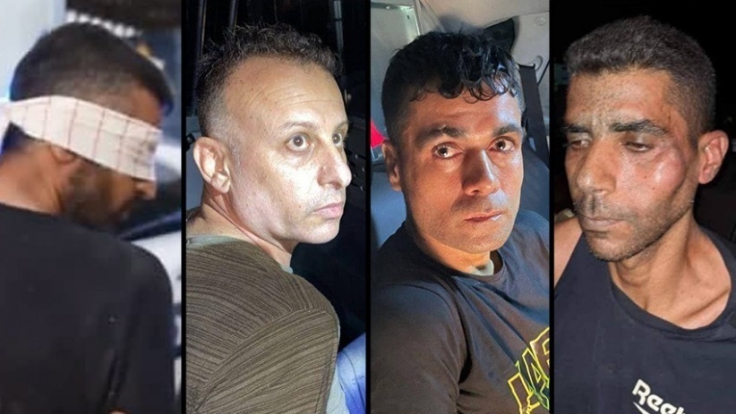 توضيحية