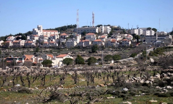 مستوطنة جنوبيّ مدينة بيت لحم 