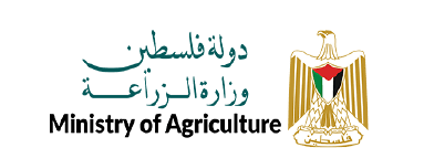 تعبيرية