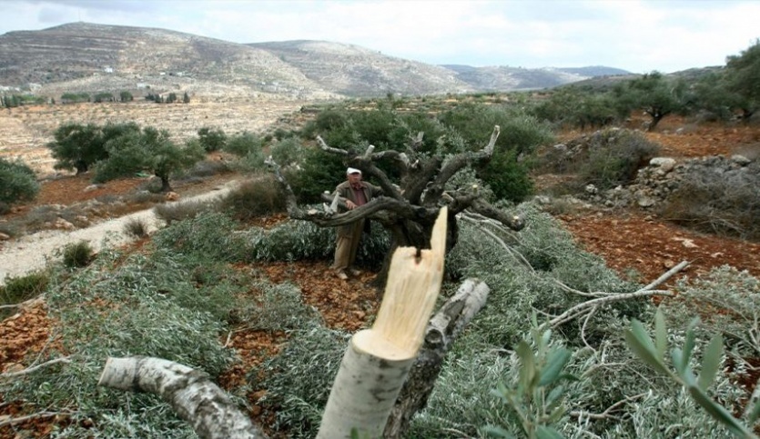 تعبيرية