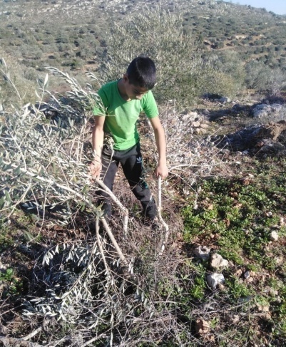 توضيحية