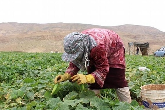 تعبيرية