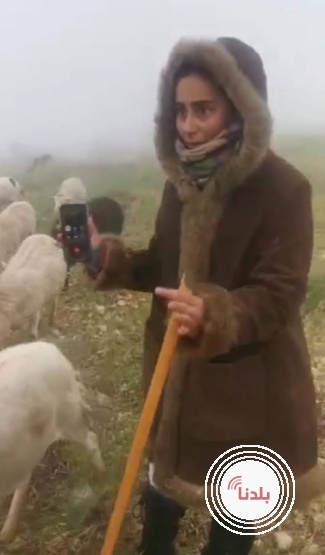 تعبيرية