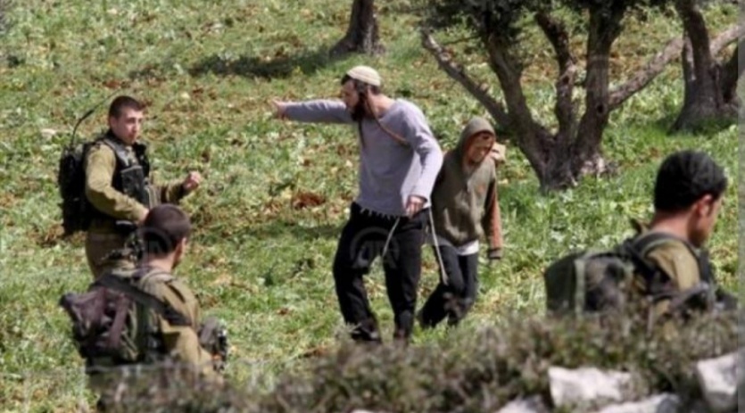إصابتان في اعتداءات للمستوطنين على المزارعين غرب دورا الخليل
