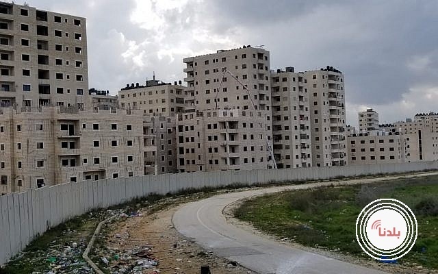 ارتفاع عدد رخص الأبنية على مستوى فلسطين