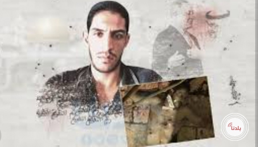 الشؤون المدنية : غدا تسليم جثمان الشهيد اشرف هلسة
