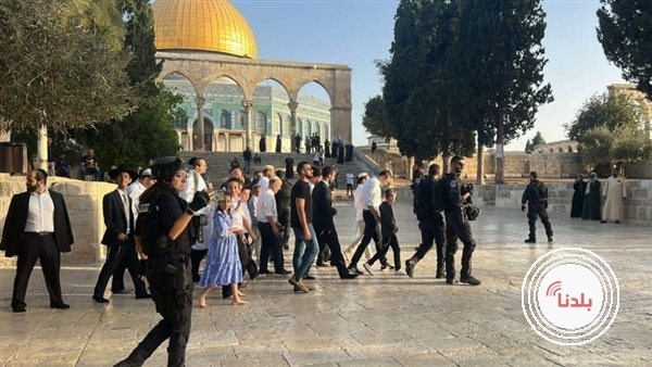 عشرات المستوطنين يقتحمون "الأقصى"
