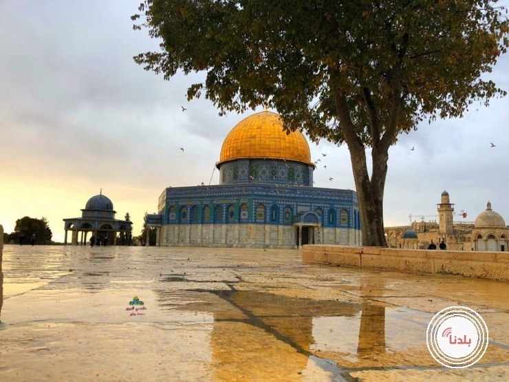 الطقس: أمطار متفرقة