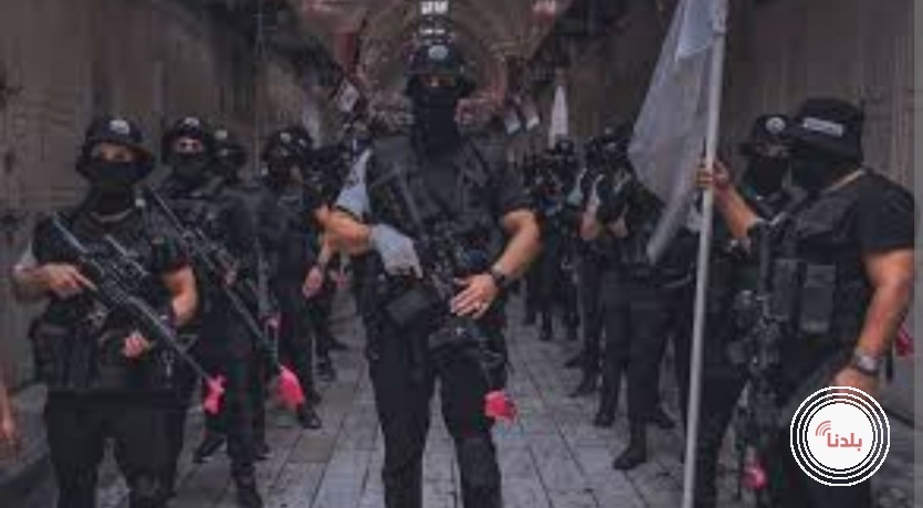 بعد مجزرة نابلس .. انضمام 50 مقاتلا جديدا لمجموعة عرين الاسود