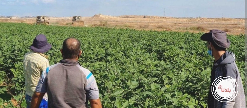 الاحتلال يطلق النار صوب الأراضي الزراعية جنوب القطاع