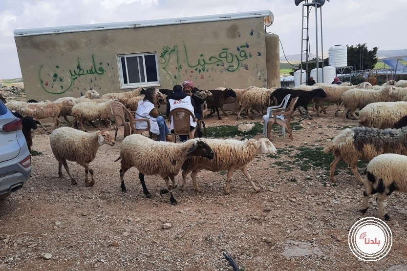 توضيحية 