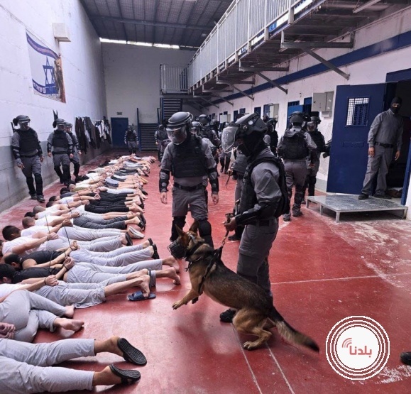 توضيحية