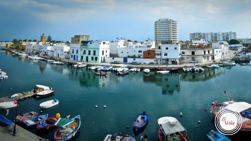 توضيحية 
