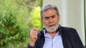 توضيحية 