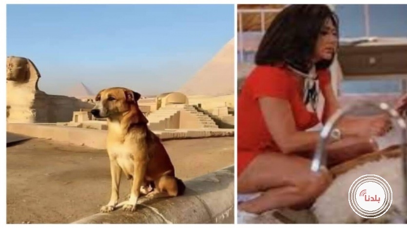 توضيحية 