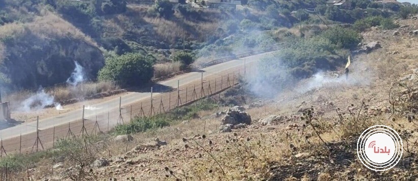توضيحية 