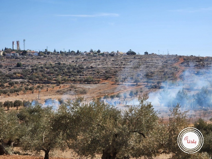 توضيحية 