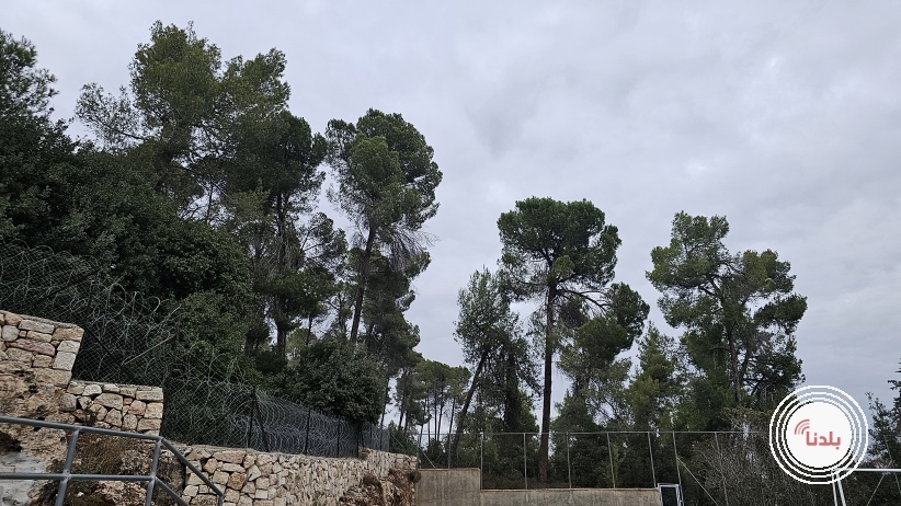 حالة الطقس: انخفاض ملموس على درجات الحرارة