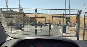 توضيحية 
