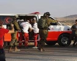 توضيحية 