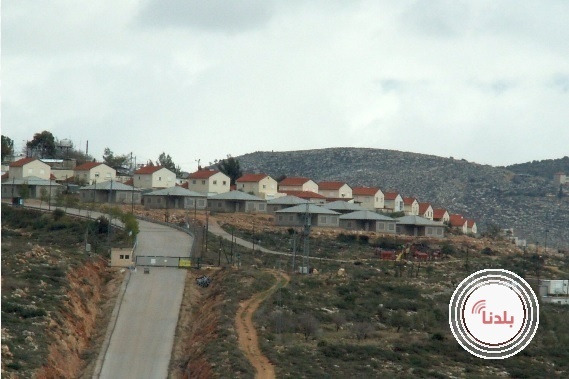توضيحية 