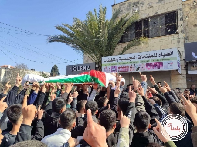 توضيحية 