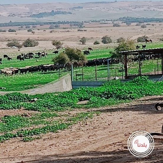 توضيحية 